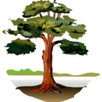 Logo of Trees android Application 